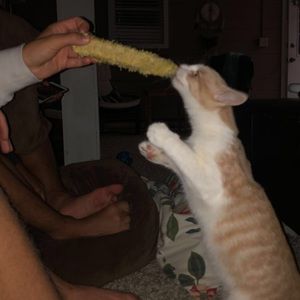 Meet your Posher, Logan